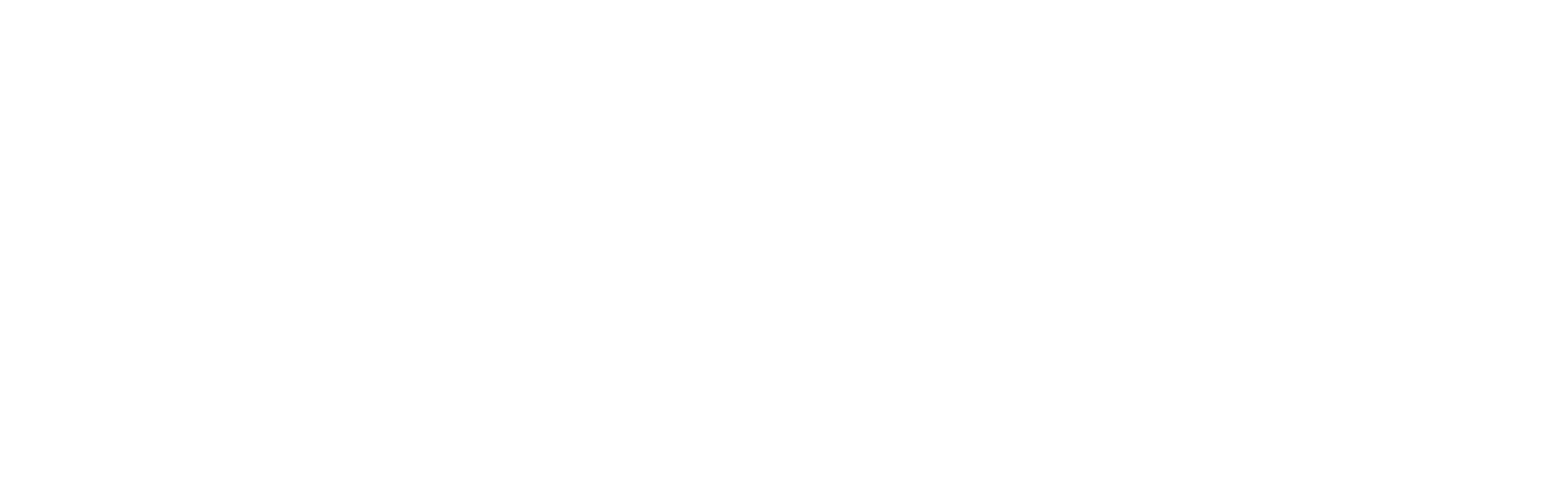 bliss cleaning services logo